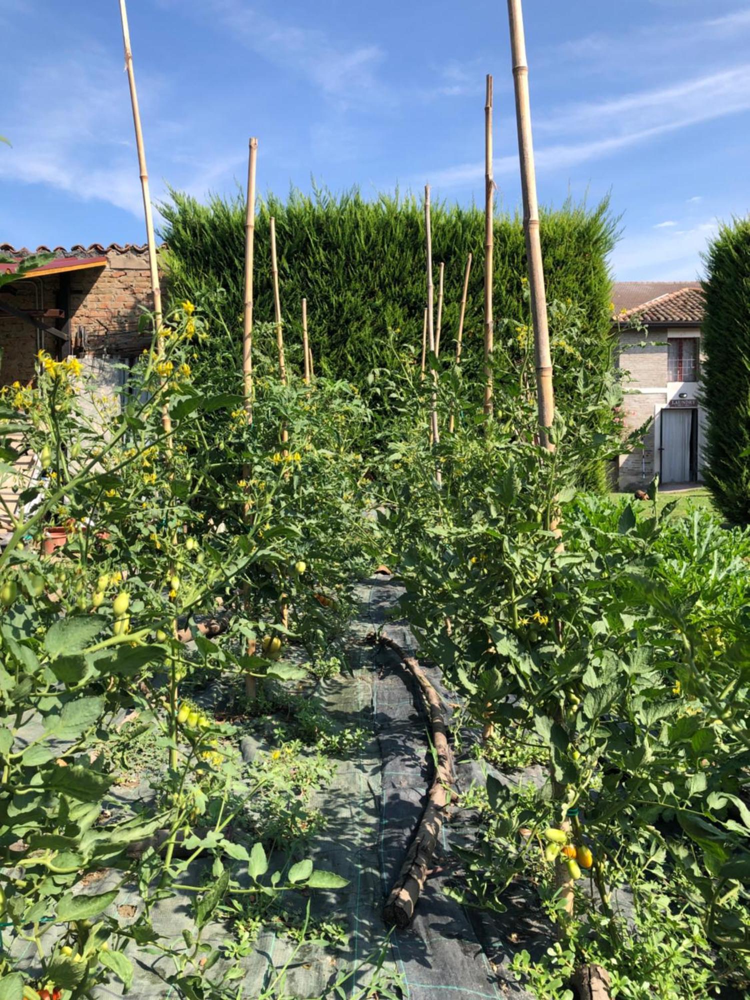 Villa Margherita Ecolodge Crespino 外观 照片